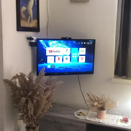 Too Cozzy Flat Апартаменты Тирана