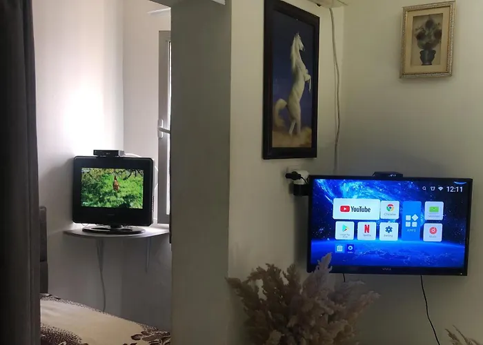 Too Cozzy Flat דירה *